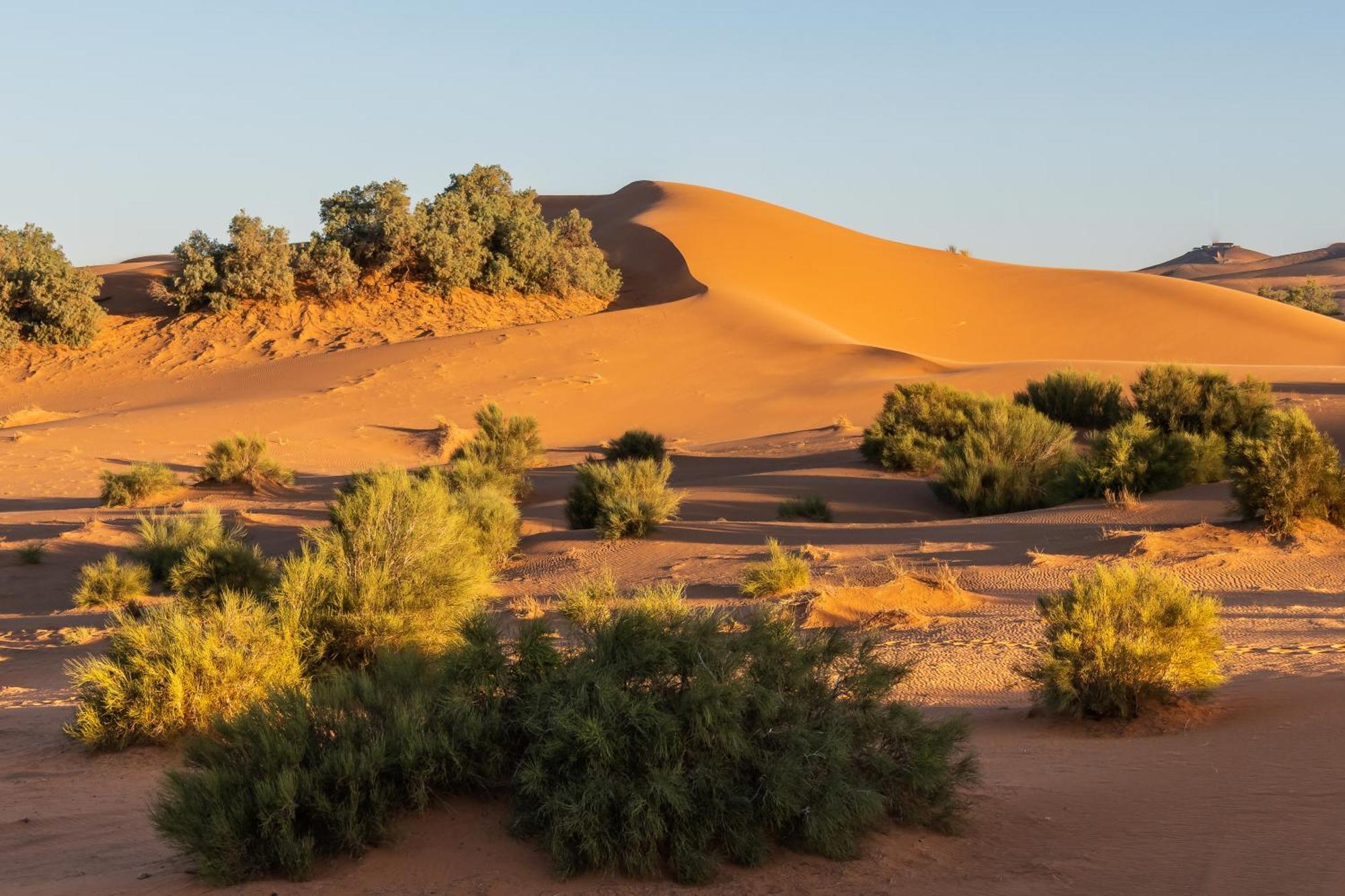 Dihya Desert Camp Merzouga Esterno foto